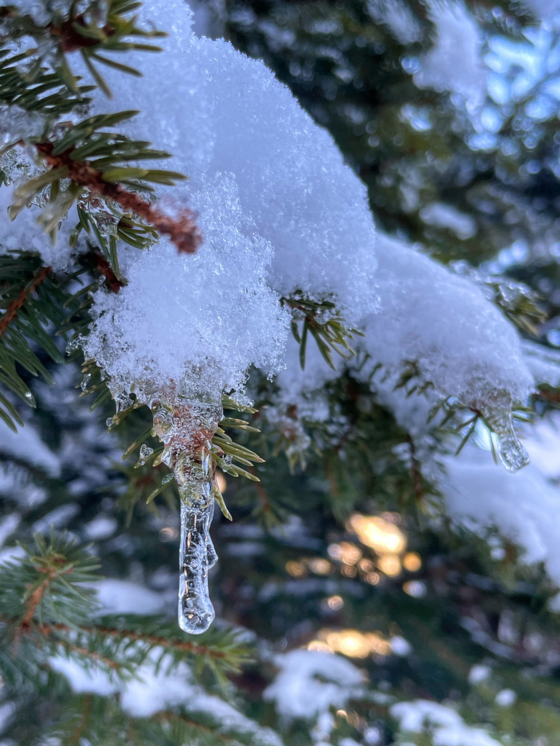 Eiszapfen