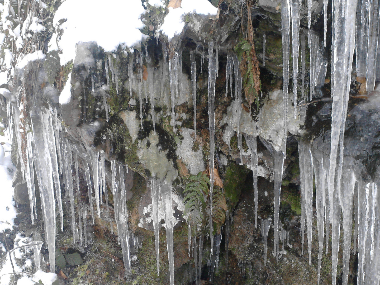 eiszapfen