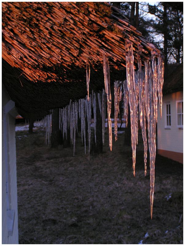 Eiszapfen im Abendrot