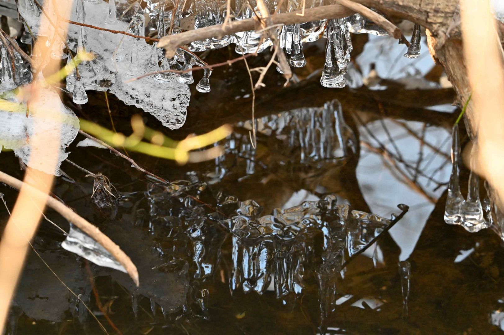 Eiszapfen im Bachlauf