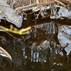 Eiszapfen im Bachlauf