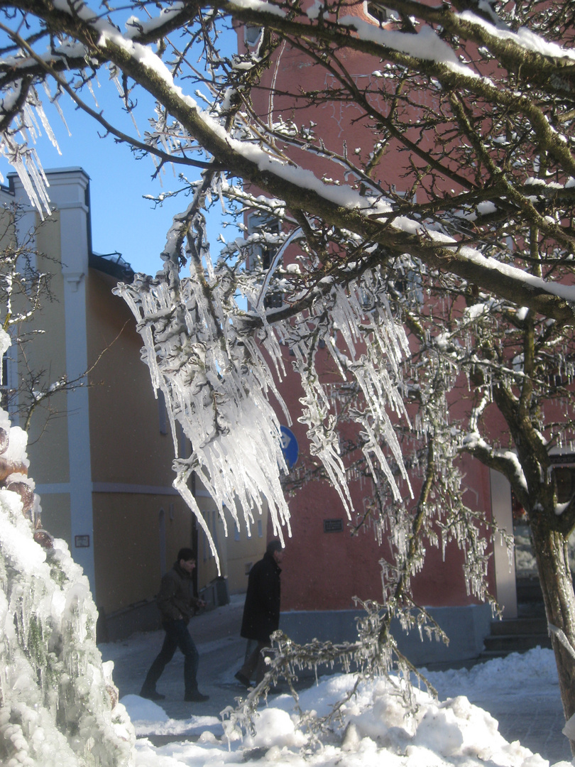 Eiszapfen im Bayerischen Wald