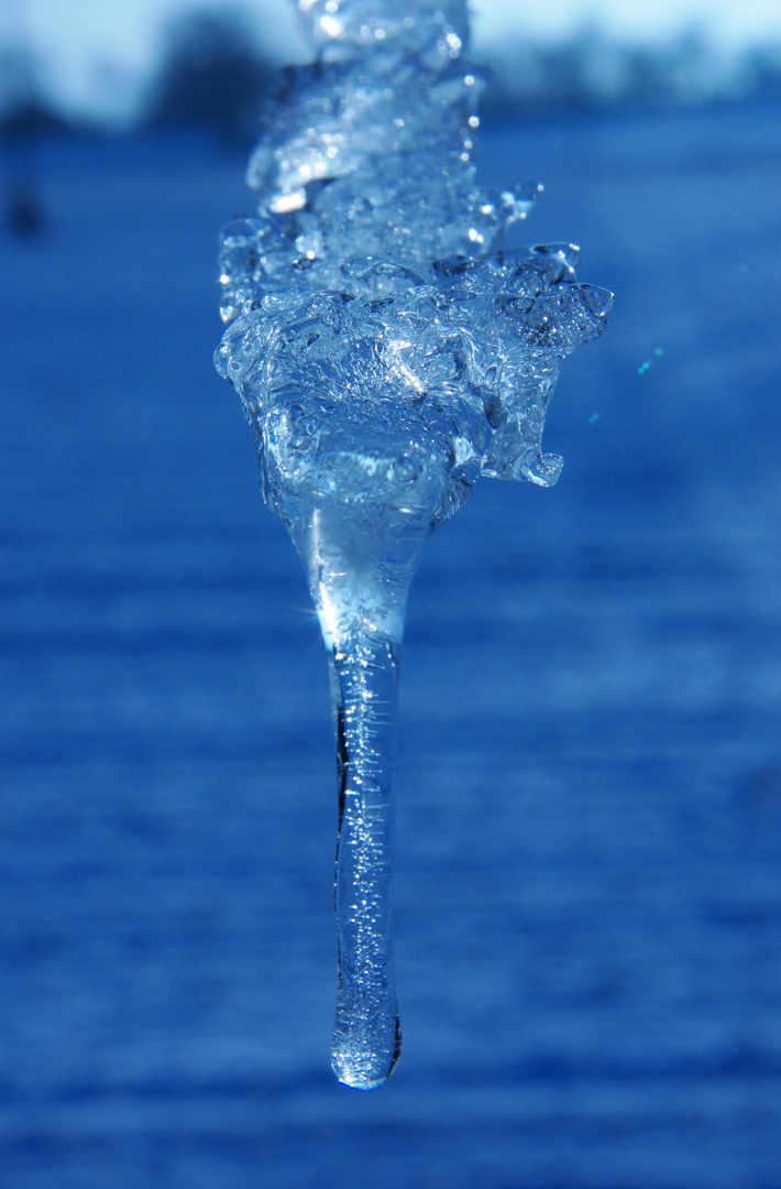 Eiszapfen im Gegenlicht