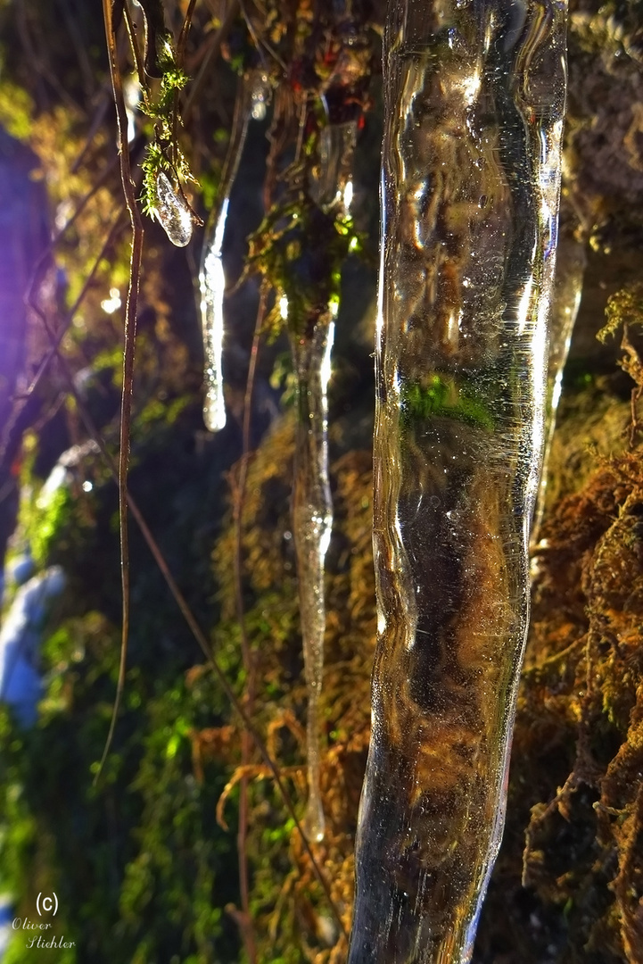 Eiszapfen im Märchenwald