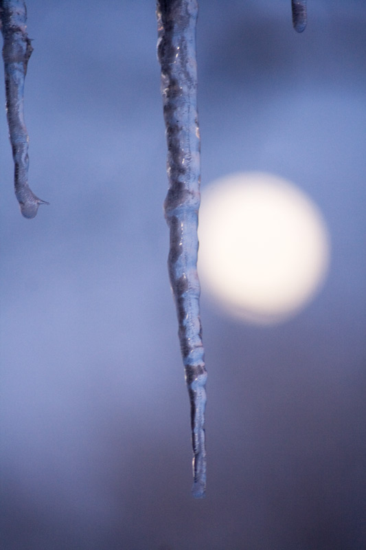 Eiszapfen im Mondschein..