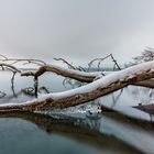 Eiszapfen im See - mit Video