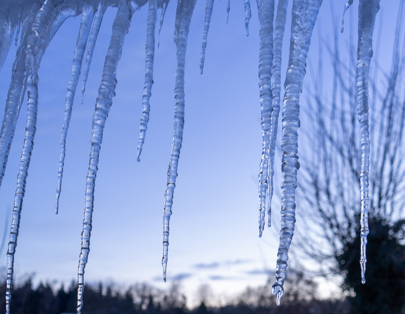 Eiszapfen im Winter