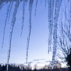 Eiszapfen im Winter