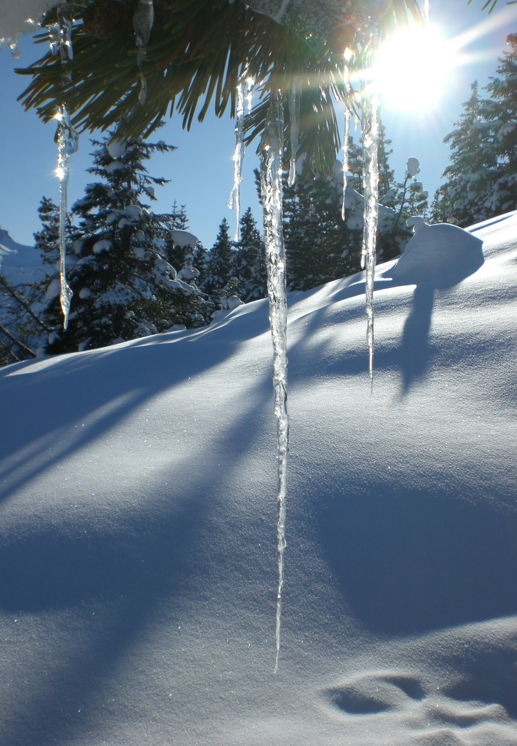 Eiszapfen in Arosa, Schweiz