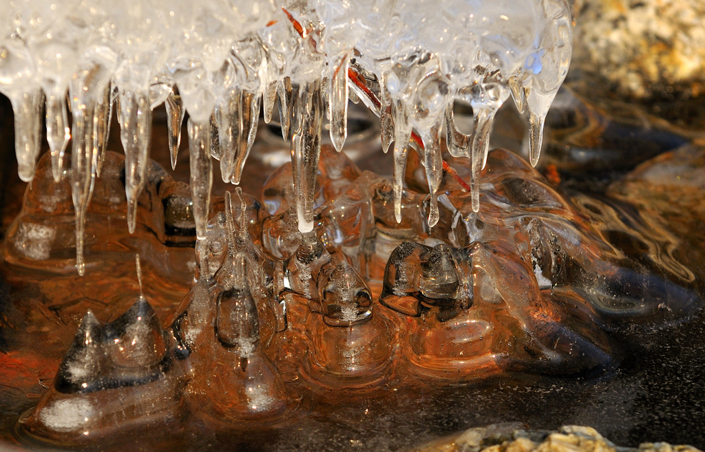 Eiszapfen in der Abendsonne