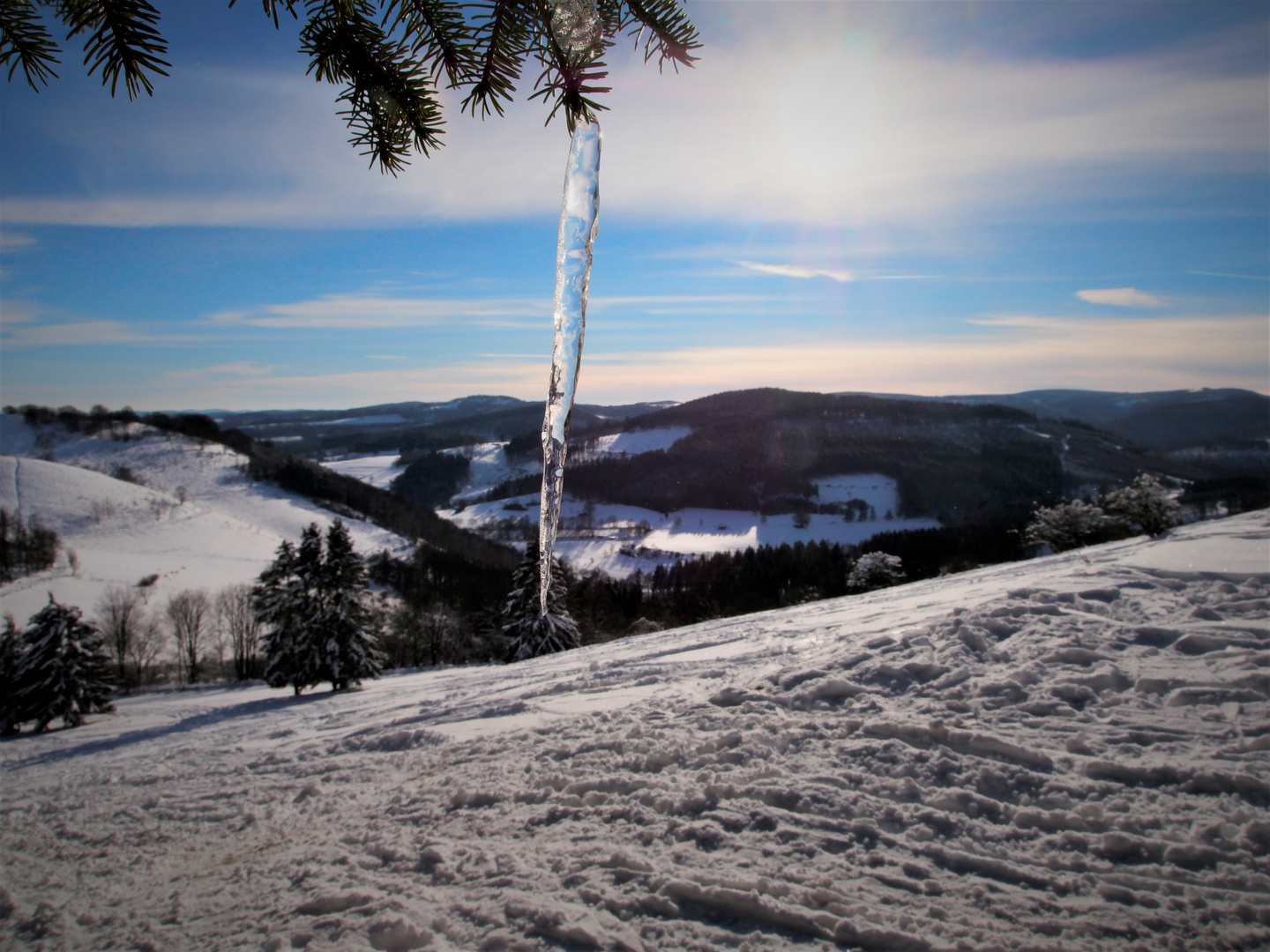 Eiszapfen in der Sonne