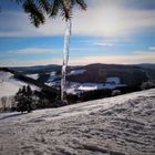 Eiszapfen in der Sonne