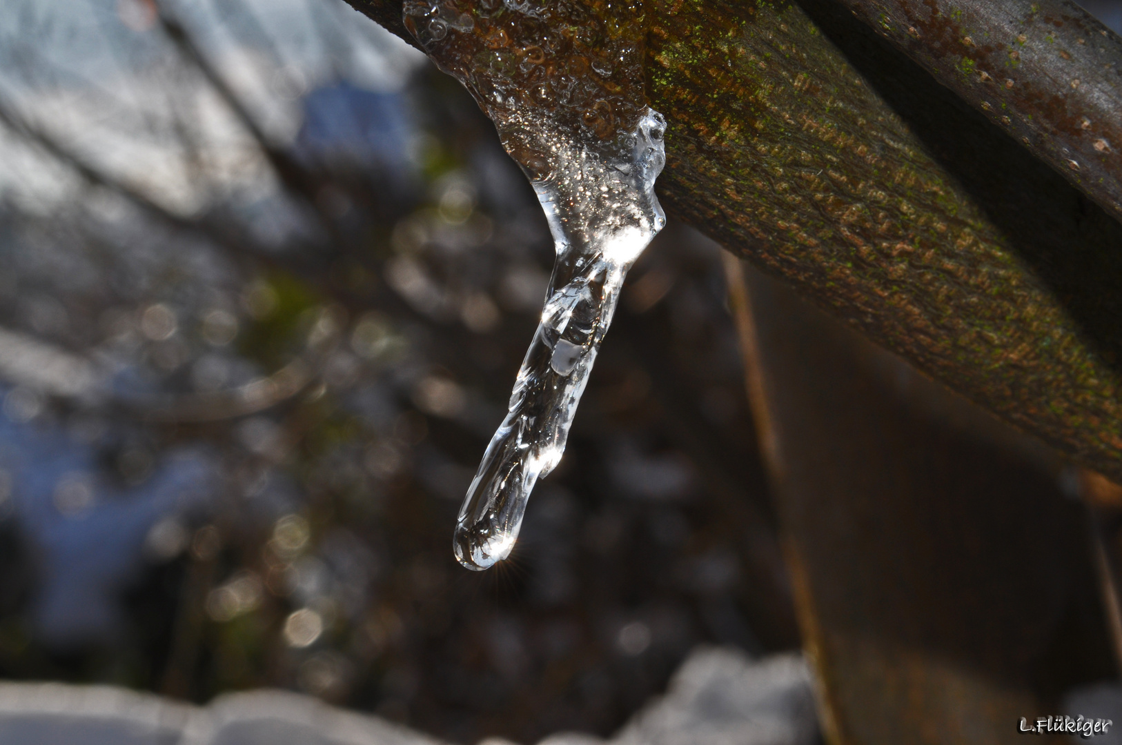 Eiszapfen in der Sonne