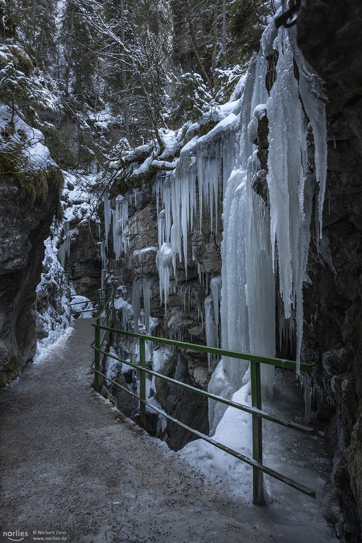 Eiszapfen in Fülle