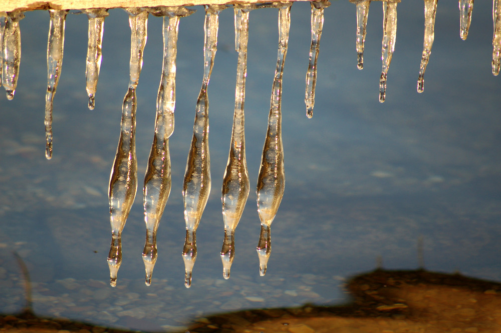 Eiszapfen in goldener Sonne