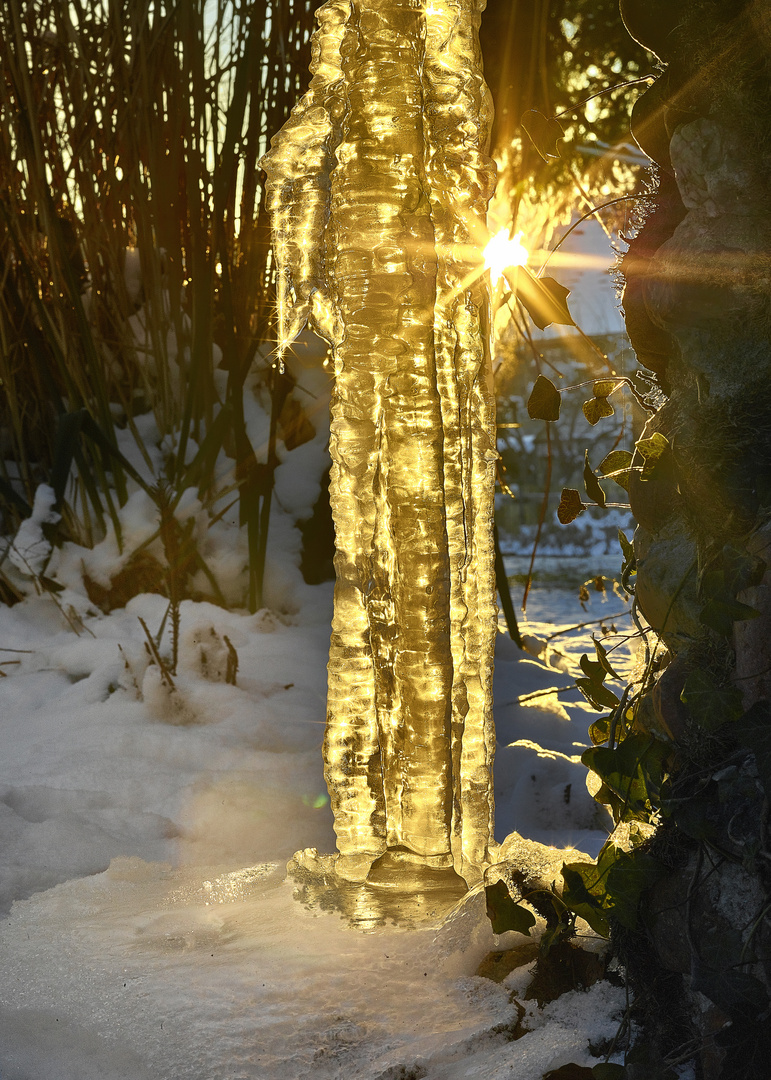 Eiszapfen in Sonnenlicht