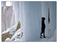 Eiszapfen - kalt