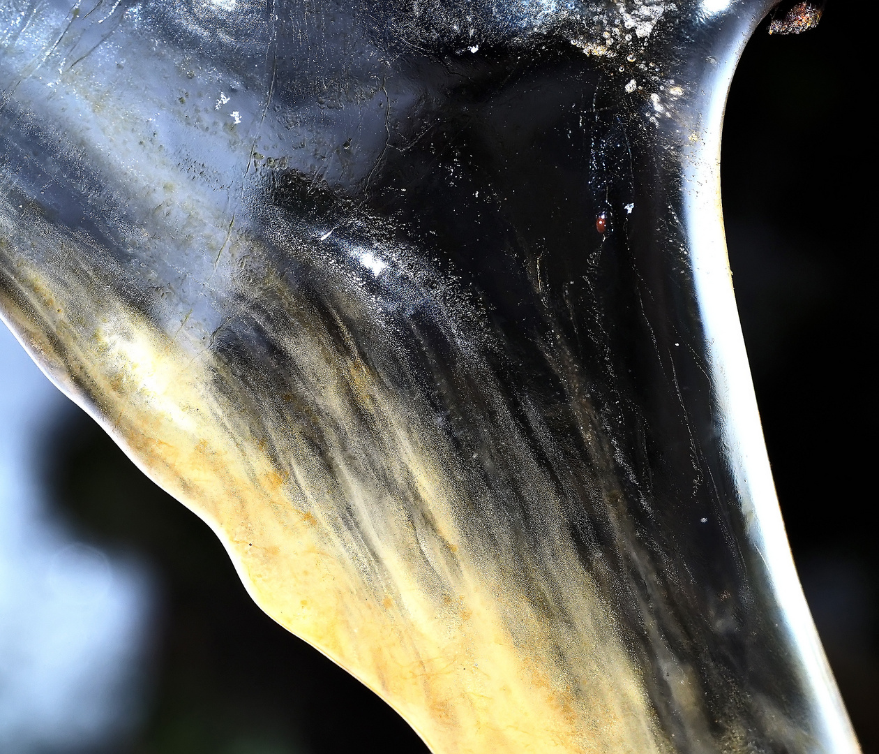 Eiszapfen-Kunst!  -  Stalactite de glace! **