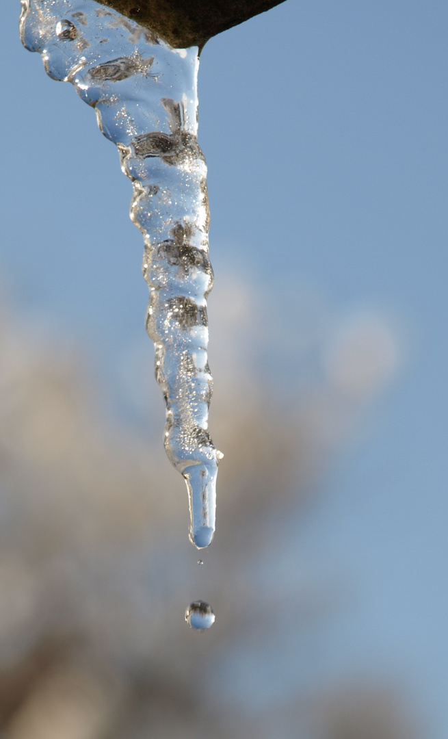 Eiszapfen mit fallendem Tropfen