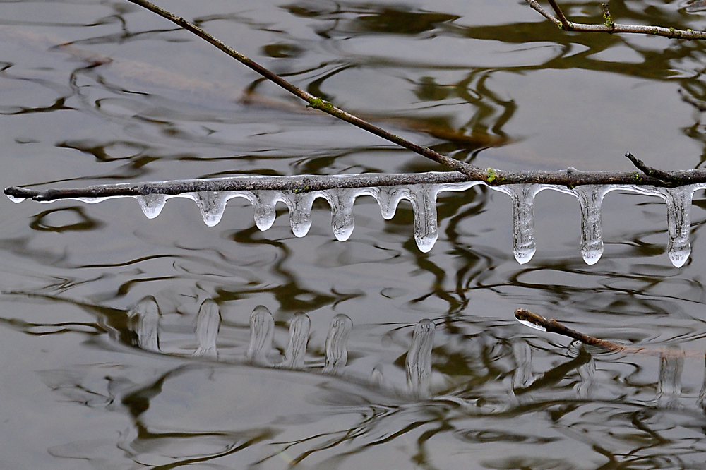 Eiszapfen mit Spiegelbild