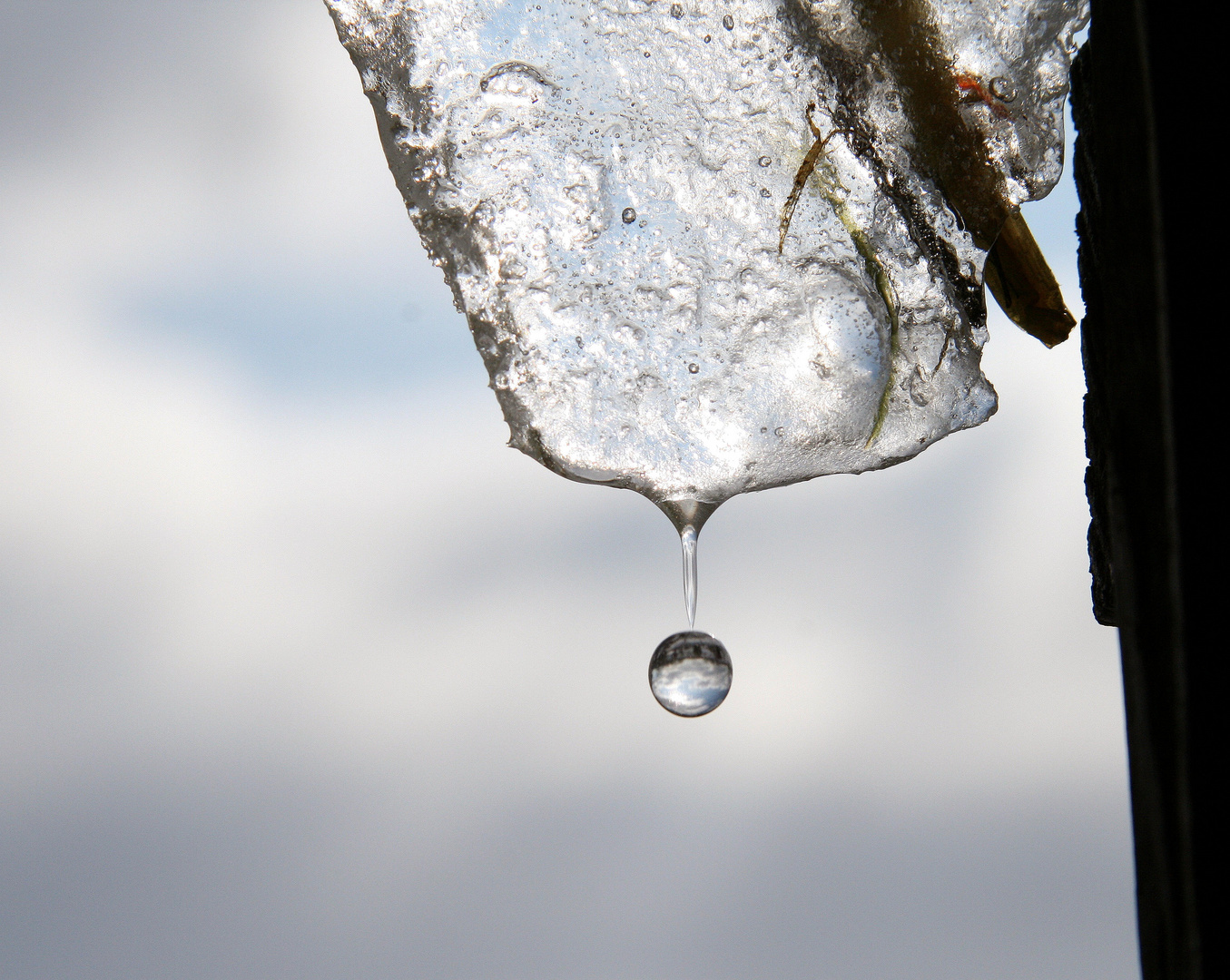 Eiszapfen mit Tropfen