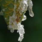 Eiszapfen? Mitten im Sommer?