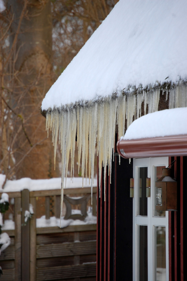 Eiszapfen nach Schneesturm. Insel Hiddensee