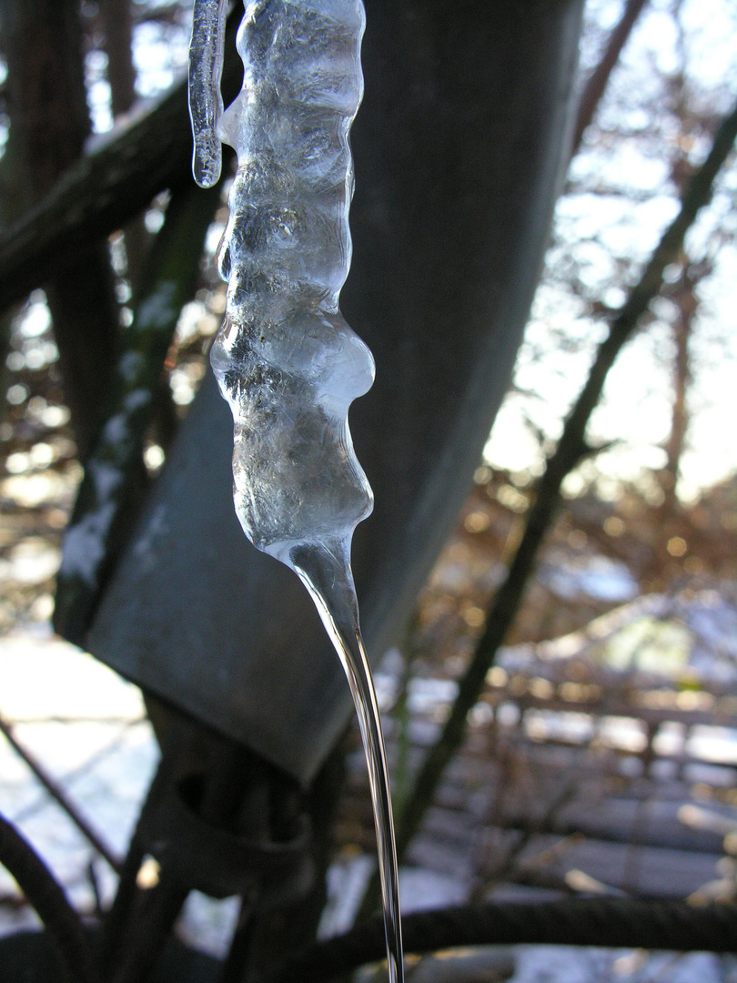 Eiszapfen Tauwetter Sonne Gegenlicht Winter Eisen