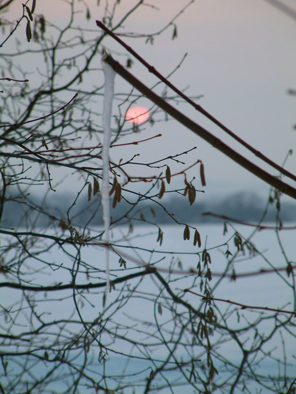 Eiszapfen vor Sonnenuntergang