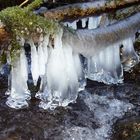 Eiszapfengalerie im Steinbachtal / Ilmenau