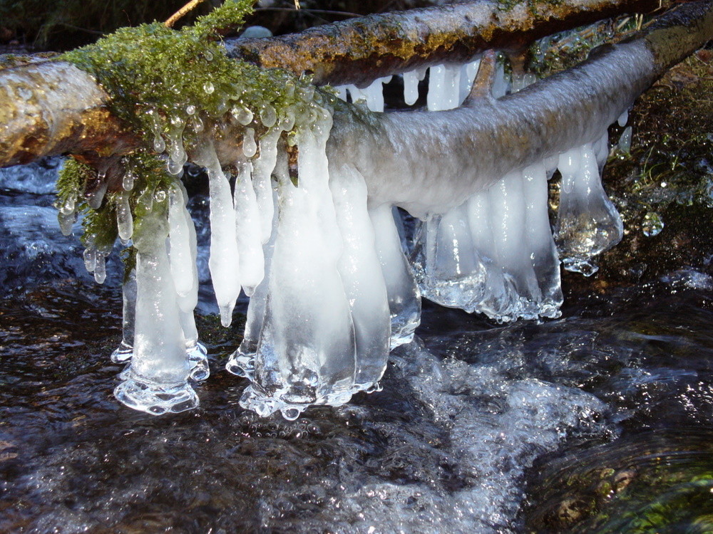 Eiszapfengalerie im Steinbachtal / Ilmenau