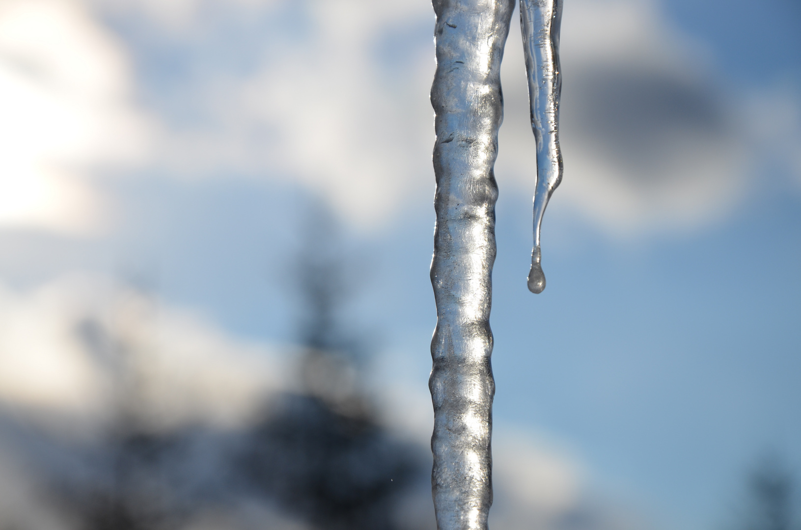 Eiszapfen...kalt