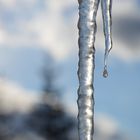 Eiszapfen...kalt