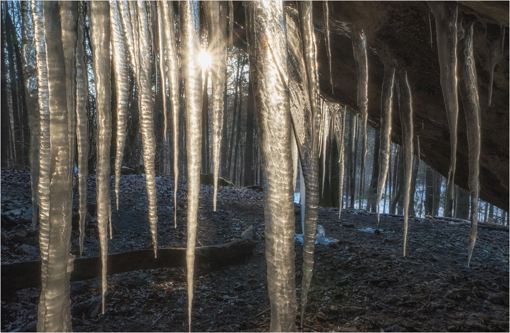 "Eiszapfenwald"