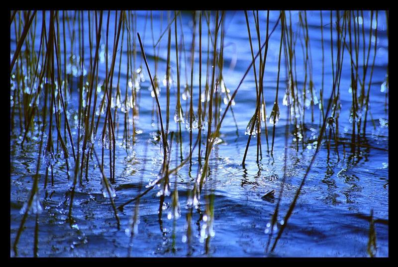 Eiszauber am Ufer