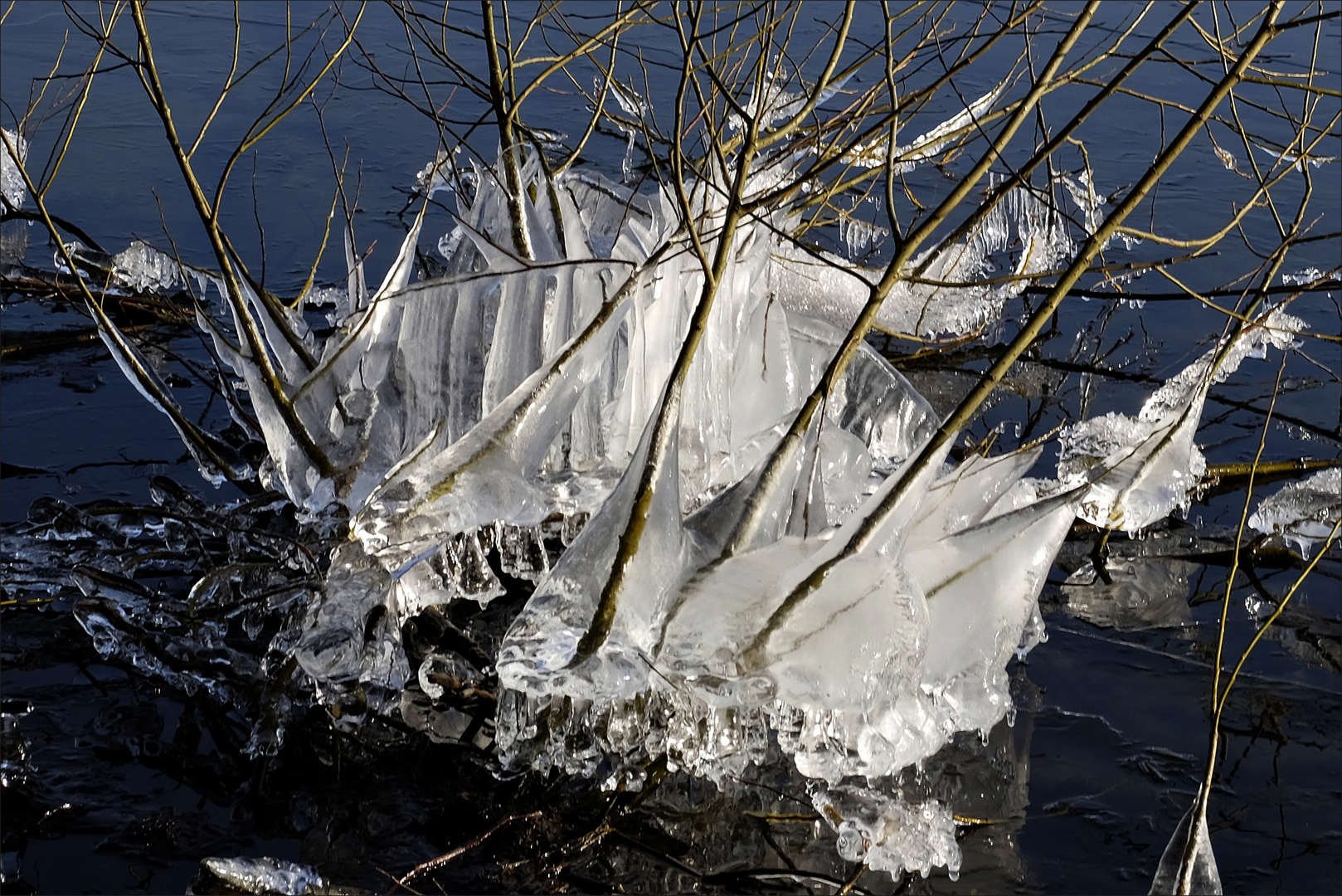 Eiszauber am Ufer vom Großen Plöner See am 15. Februar 2017