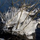 Eiszauber am Ufer vom Großen Plöner See am 15. Februar 2017