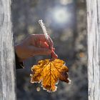 Eiszauber in der Hand