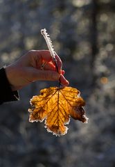 Eiszauber in der Hand