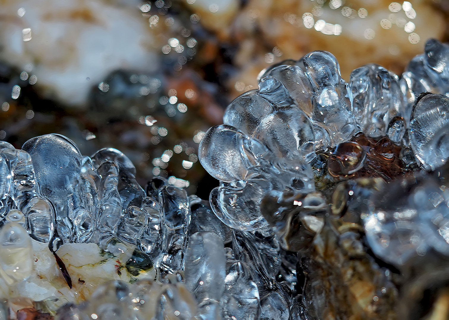 Eiszauber in der Winter-Wunderwelt!  -  La fascination de l'hiver glacial! 