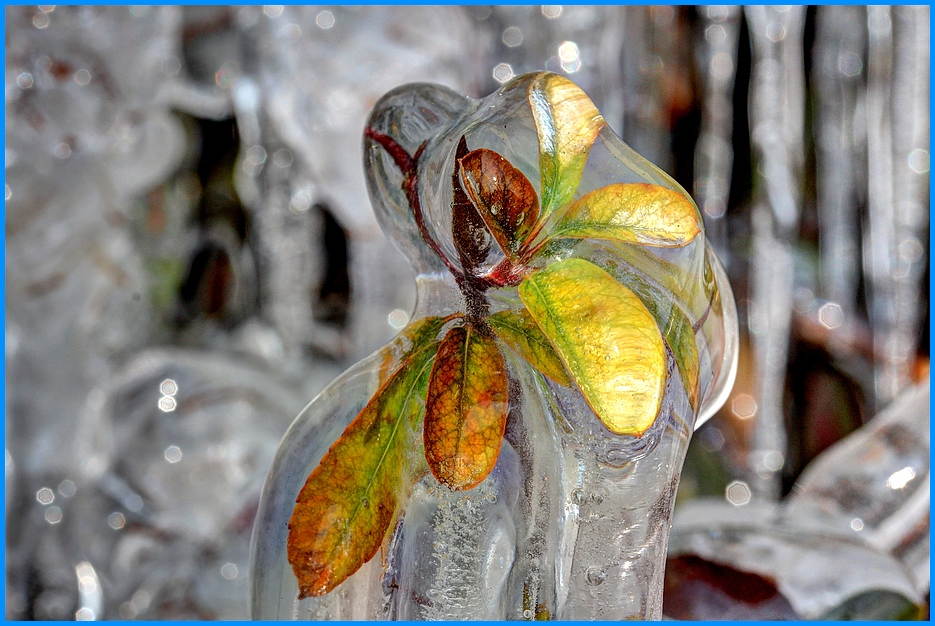 Eiszauber mit Herbstblättern Teil 3