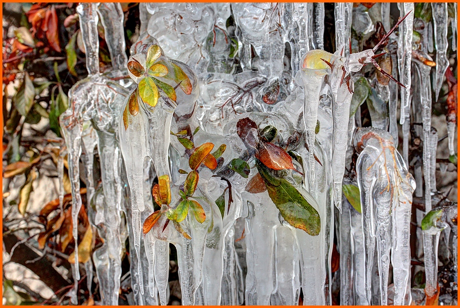 Eiszauber mit Herbstblättern Teil1