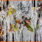 Eiszauber mit Herbstblättern Teil1