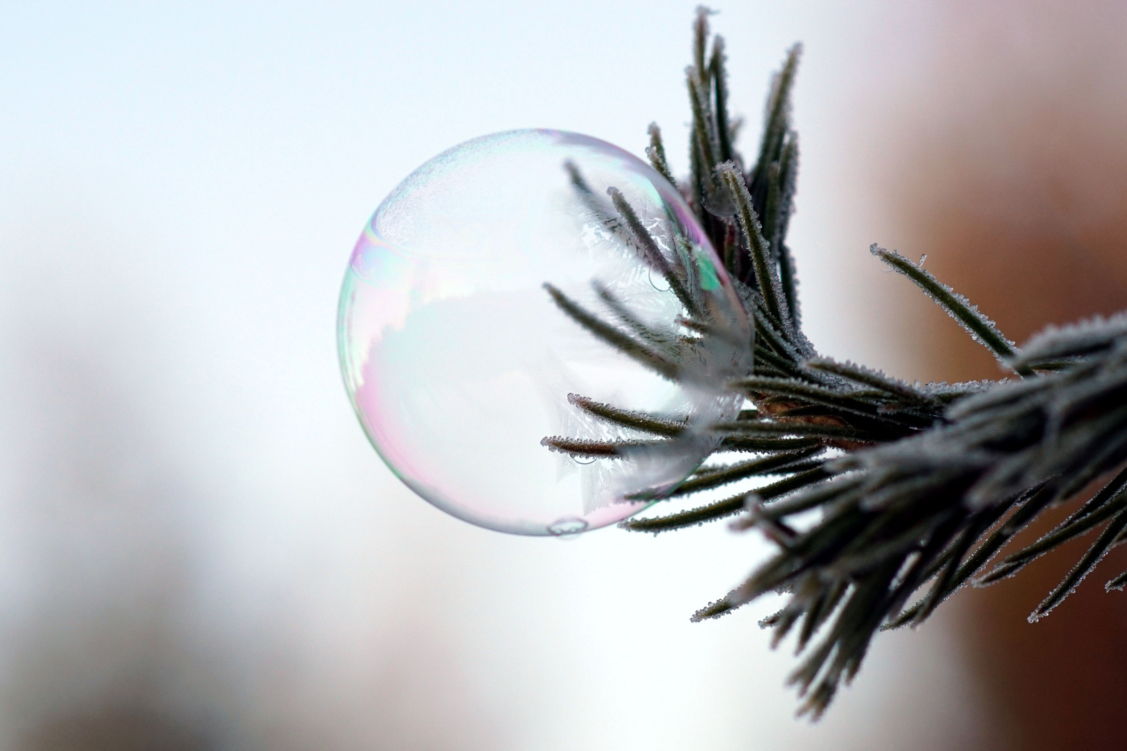 Eiszauber zum Advent