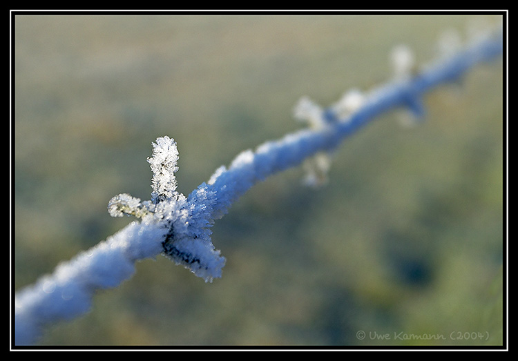 Eiszeit (01734)