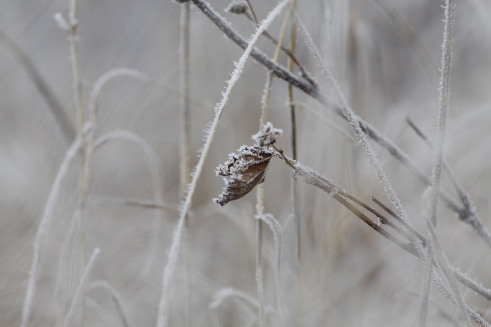 Eiszeit