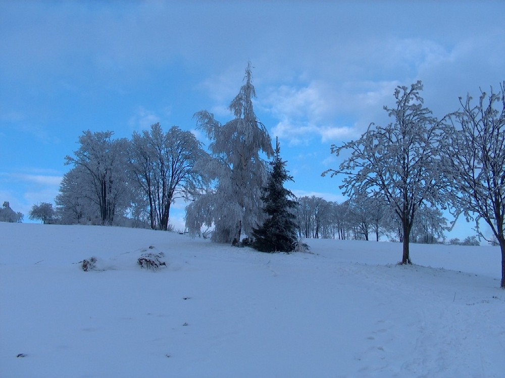 Eiszeit