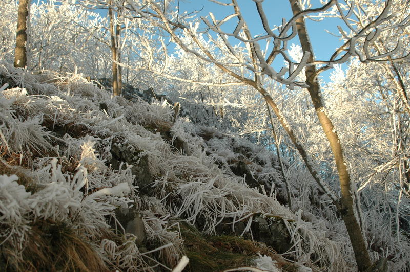 Eiszeit