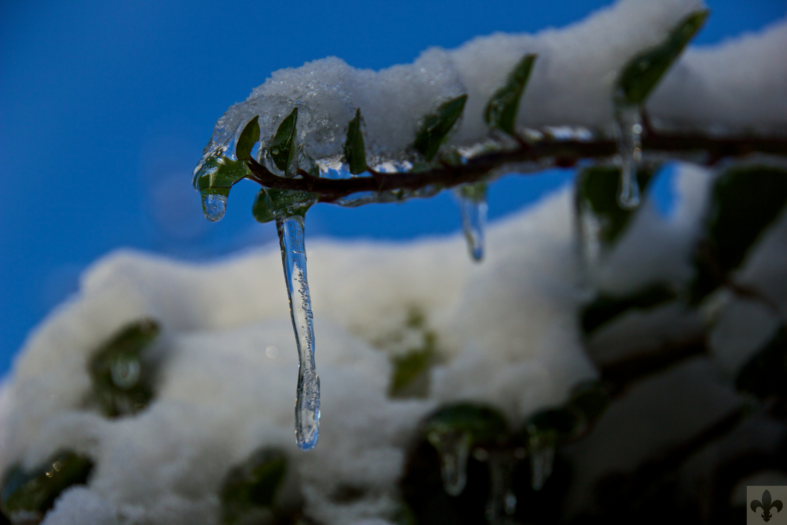 Eiszeit 1