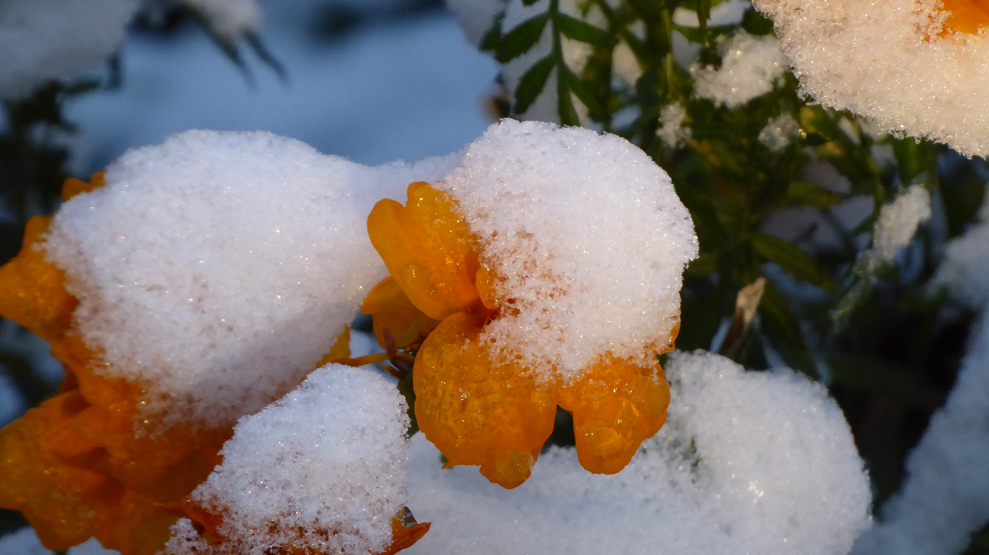 Eiszeit (1)